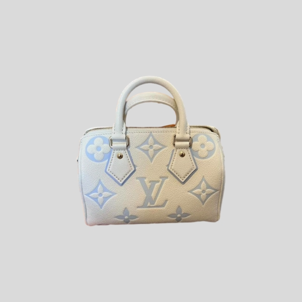 루이비통 반들리에 20 백 