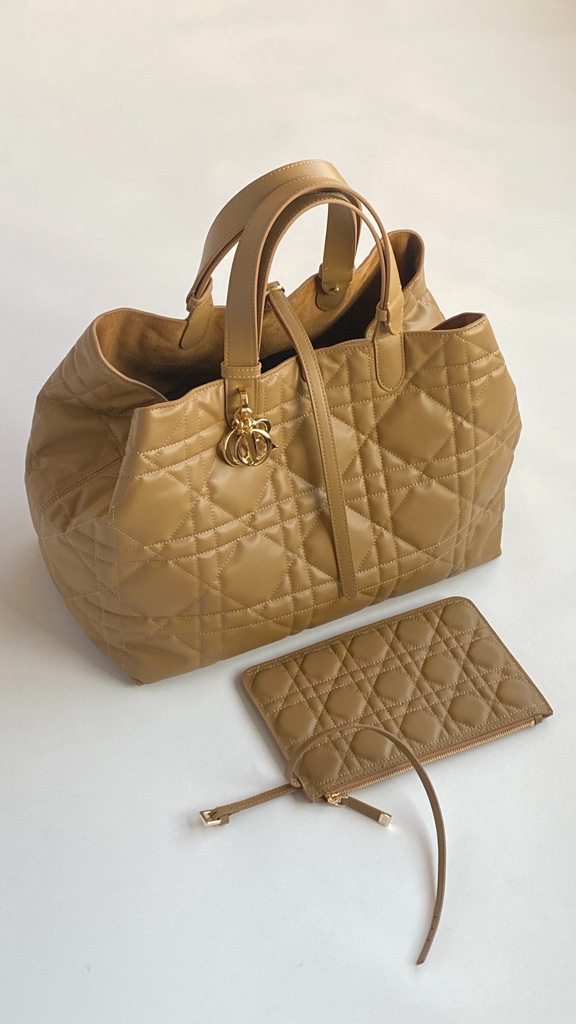 디올 Toujours 라지 백