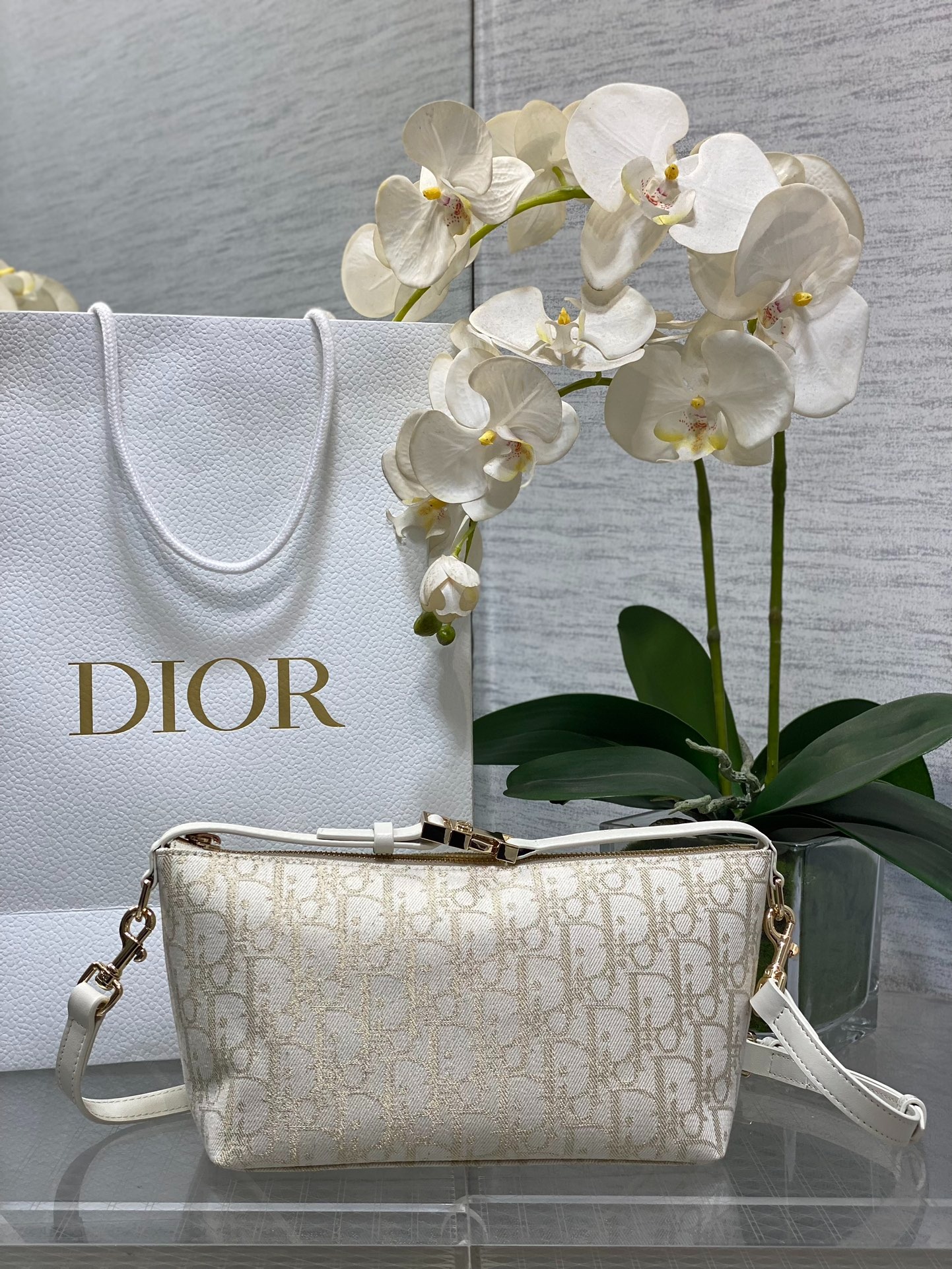 디올 트래블 노마드 미디엄 파우치백