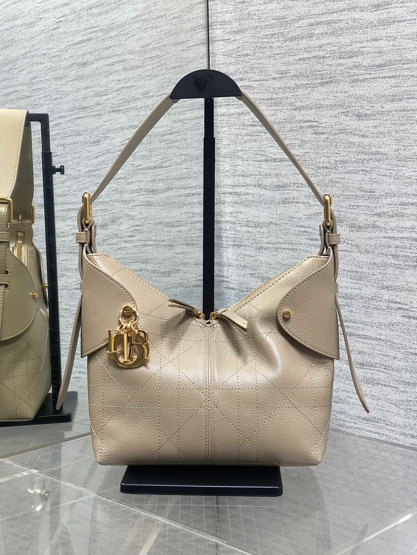 디올 보야지 백