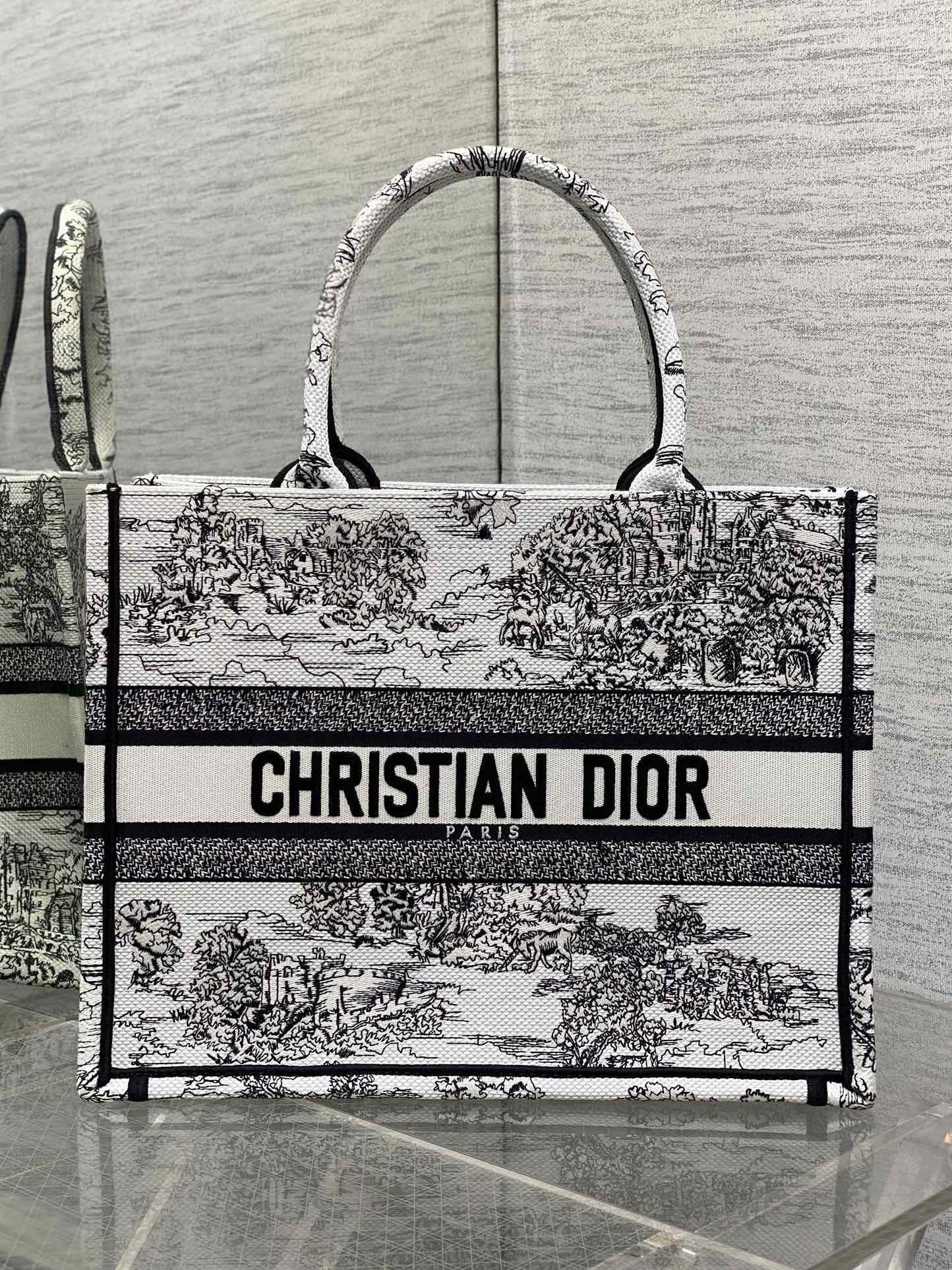 디올 화이트 북 토트 백