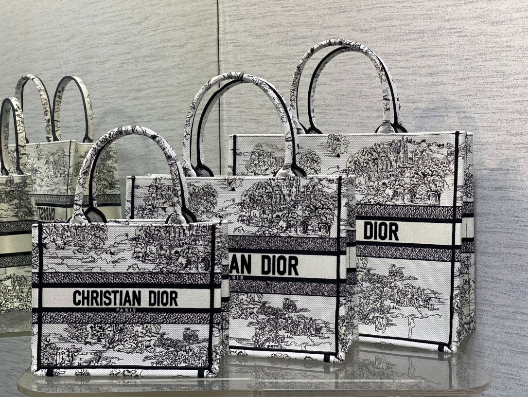 디올 화이트 북 토트 백