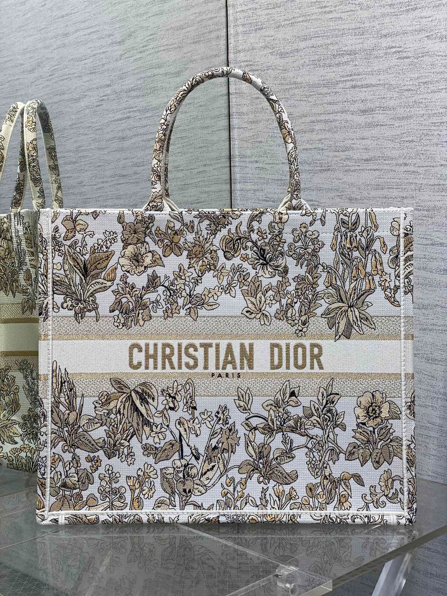 디올 Book Tote 백