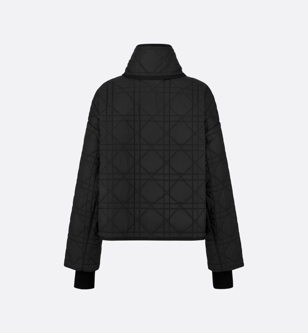 디올 25 FW 신상 패딩 코트