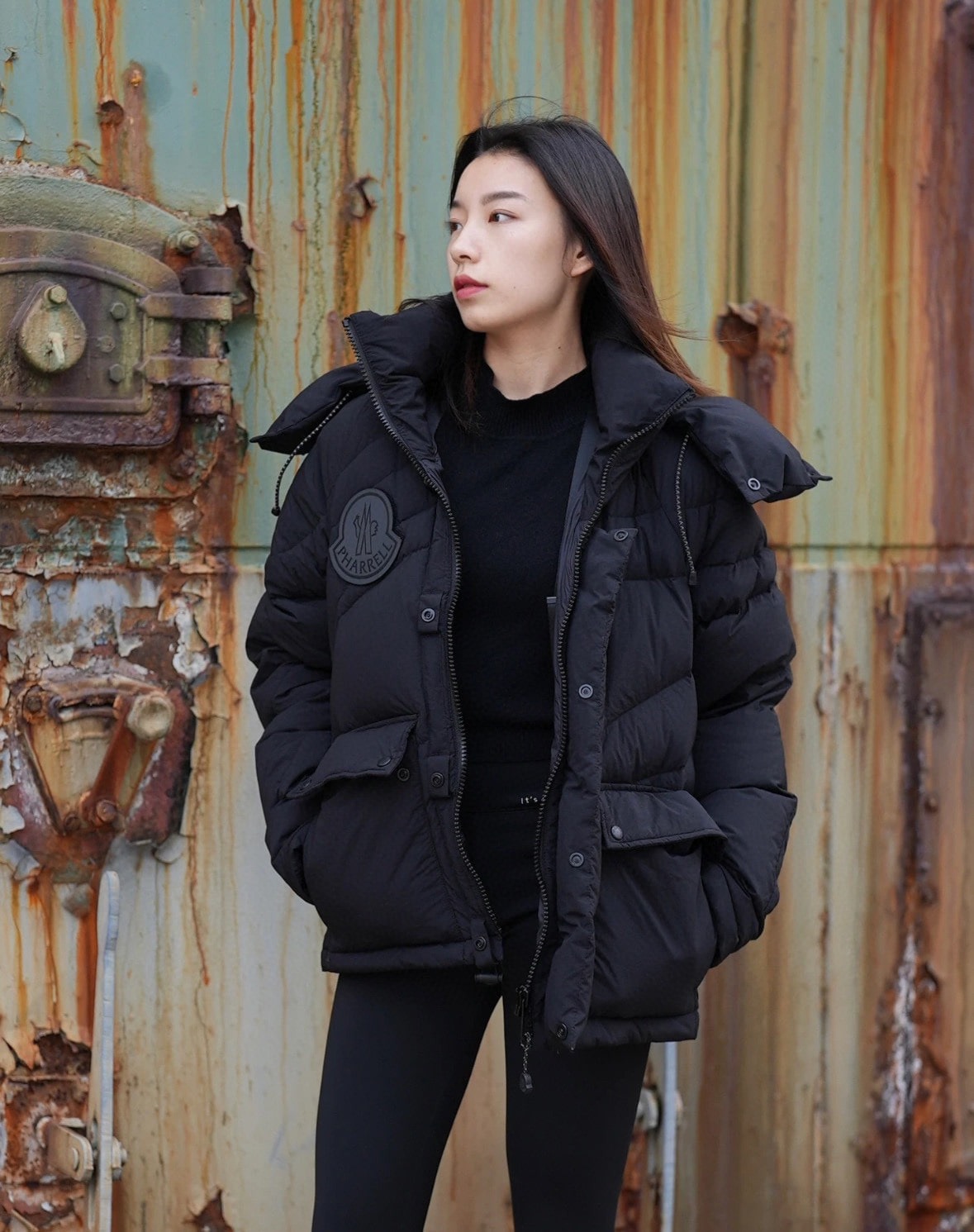 몽클레어 x 퍼렐 윌리엄스 체스트넛 숏 다운