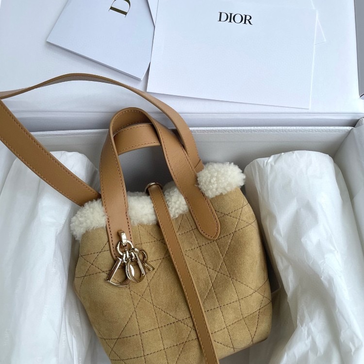 디올 Toujours 버티컬 나노 토트백