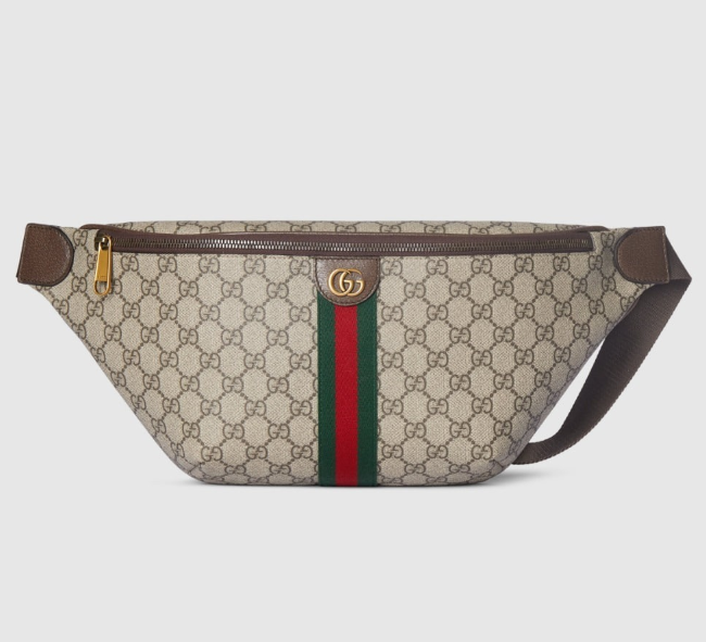 구찌 오피디아 라지 벨트백 839104NEW