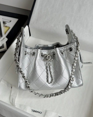 샤넬 2025 크루즈 뉴 호보백 미니