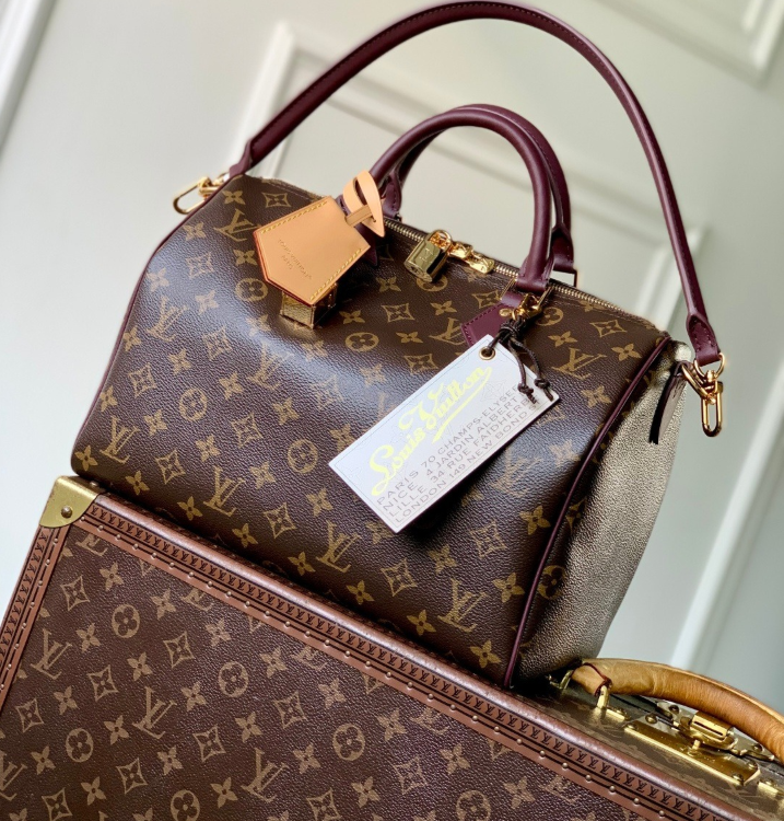 루이비통 2026 스피디 30 소프트 셀러브레이션