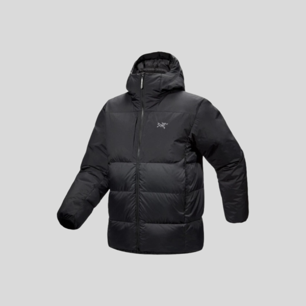 아크테릭스 토륨 SV 후디